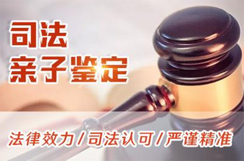 益阳司法亲子鉴定到哪里做,益阳司法亲子鉴定流程